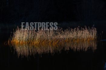 EA322602, Eastpress, Kotka, Finland